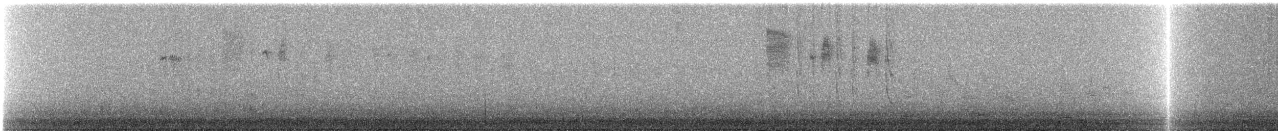 Colibri roux - ML609100802