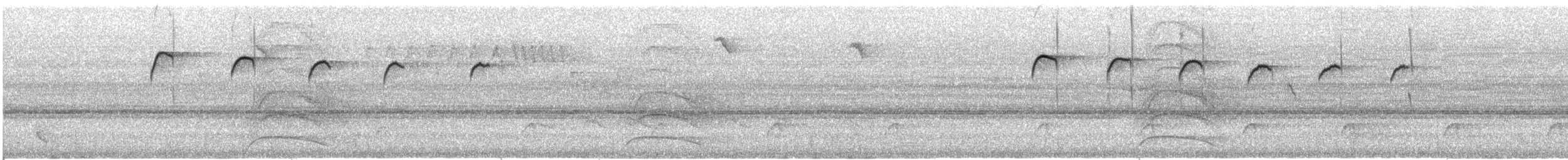 Golden-spangled Piculet - ML609101865