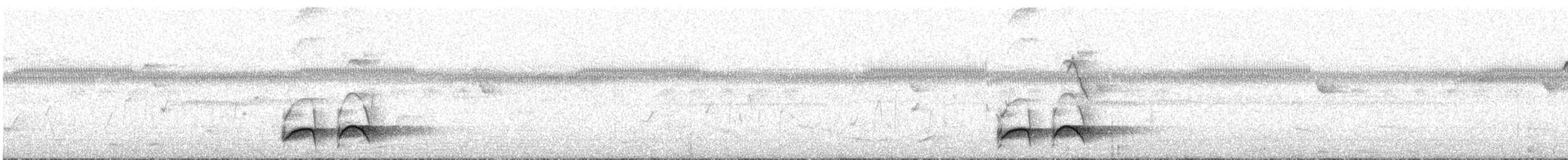 Ornate Pitta - ML609102468