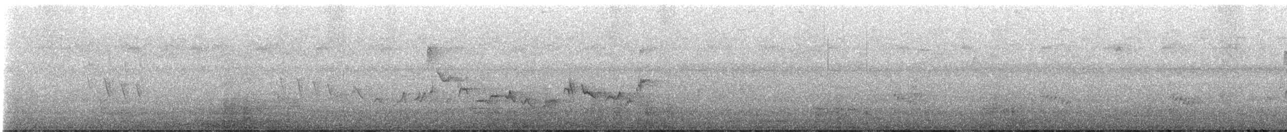 Eastern Warbling Vireo - ML609106431