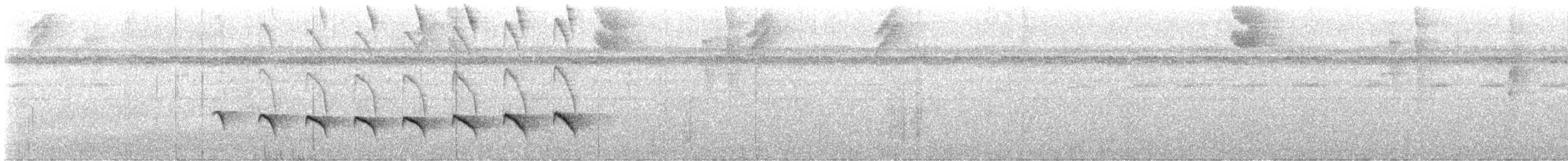 Kurzschwanz-Ameisenvogel - ML609113430