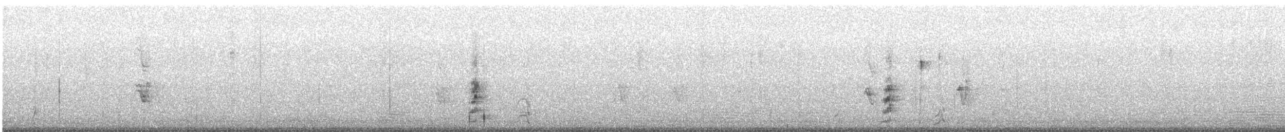 Gambel's Quail - ML609117955