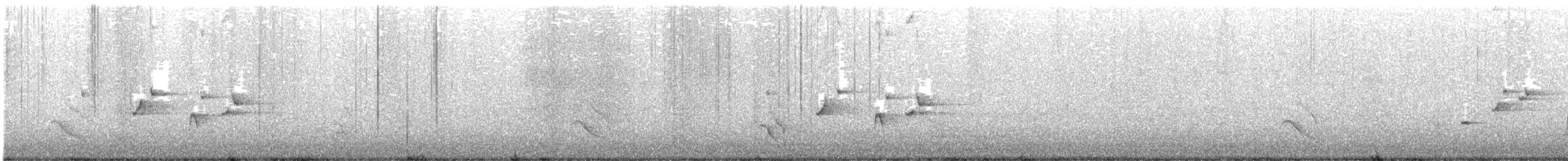 Rhipidure hochequeue - ML609122334