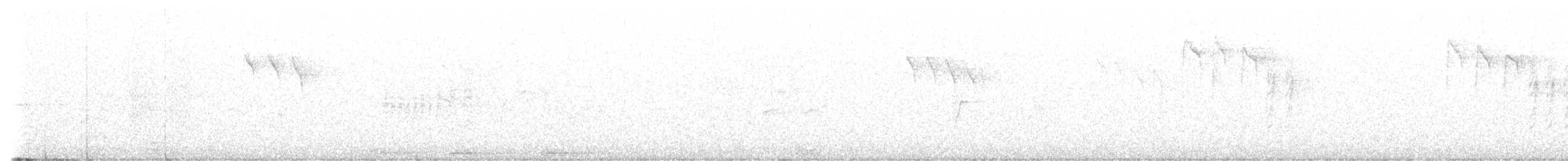 Amilotx urdina - ML609123114