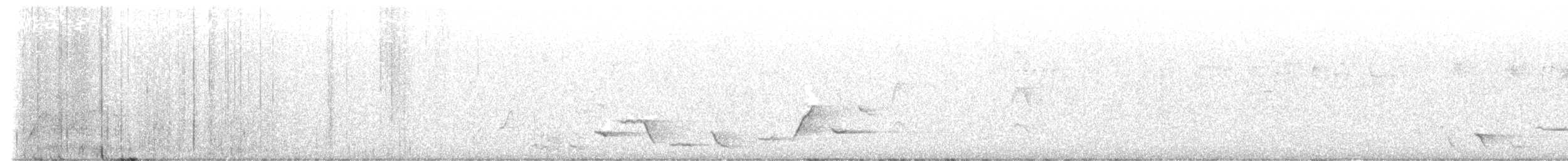 Серогрудый питуи - ML609123213