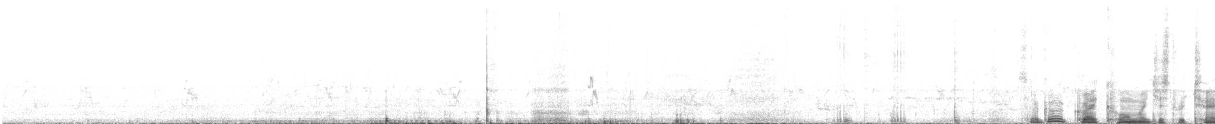 Austral-Schlangenhalsvogel - ML609125263