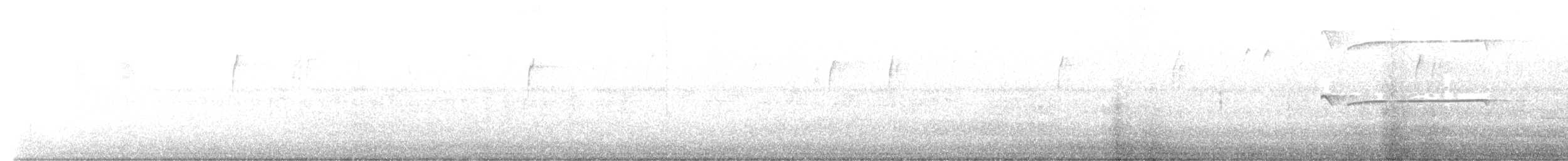 Ширококрылый канюк - ML609132691