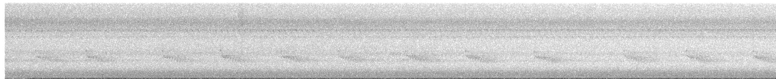 Поплітник каролінський - ML609137087