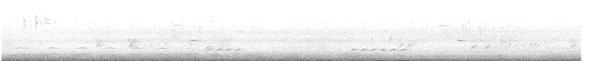 Weißbrustkleiber [lagunae-Gruppe] - ML609141952