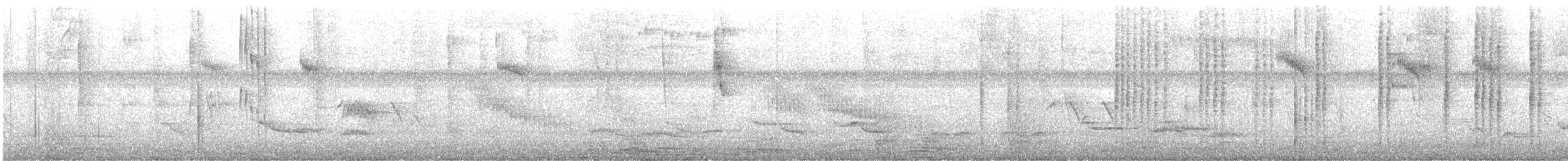 Белогузый колибри - ML609148137