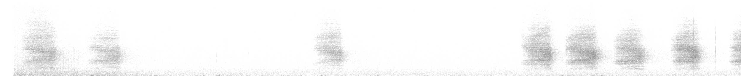 furuskrike (diademata gr.) - ML609148995