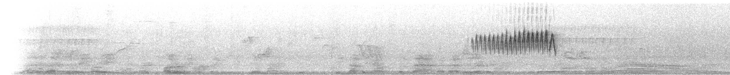 Northern Parula - ML60915351