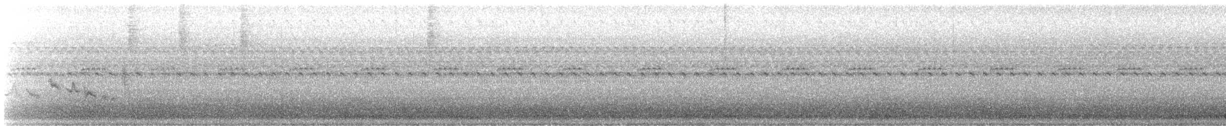 Warbling Vireo - ML609153854