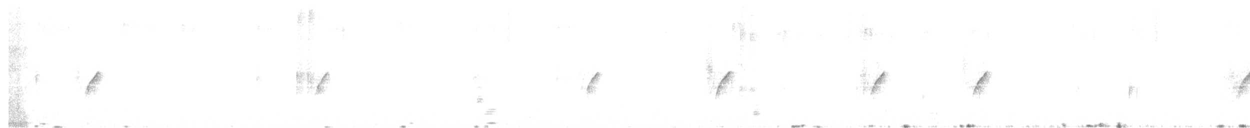 Атласная нектарница - ML609157489
