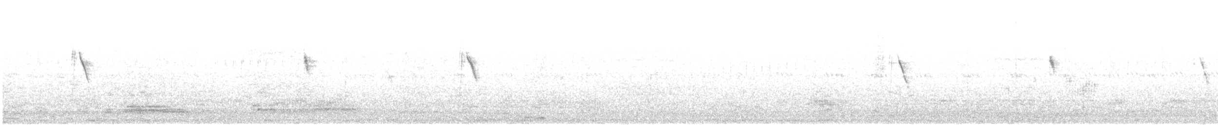Gray Wagtail - ML609158611