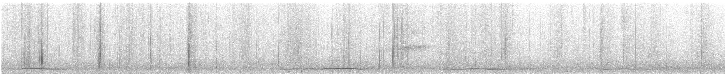 Chouette hulotte - ML609158620