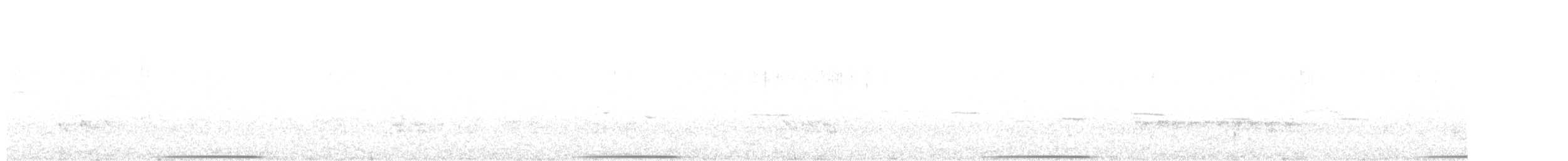 holub bronzovokřídlý - ML609158689