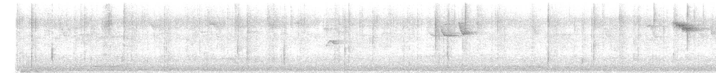 Spot-winged Thrush - ML609162466