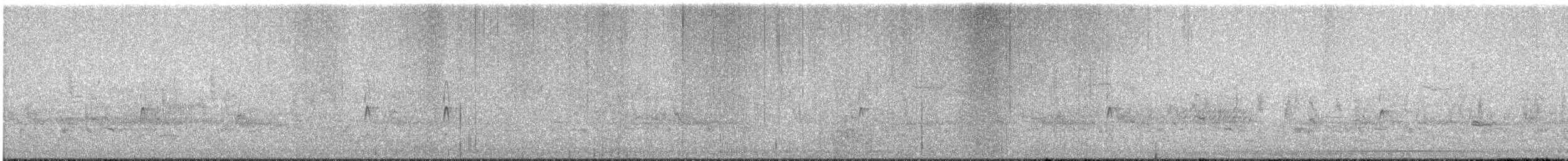 Couch's Kingbird - ML609164248