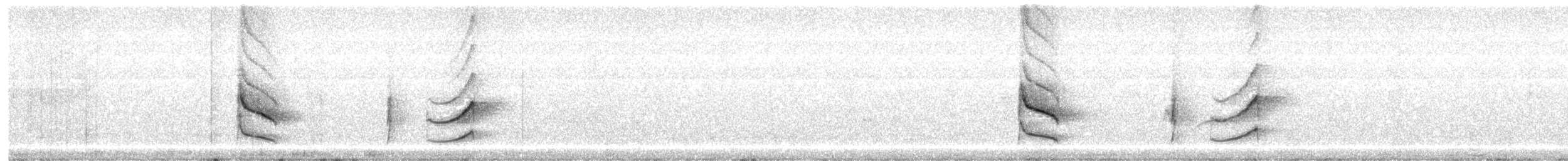Weißzügel-Dickichtschlüpfer - ML609167200