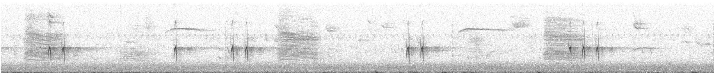 "Шишкар ялиновий (Northeastern, або тип 12)" - ML609168073