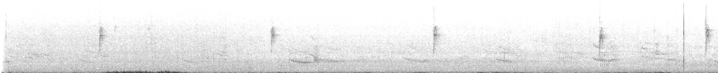 Royal Tern - ML609168965