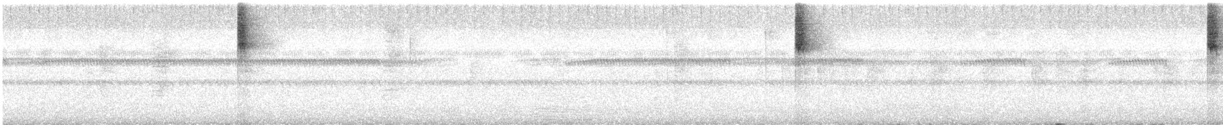 "Желтокрылая x Голубокрылая червеедка (гибрид, Lawrence's)" - ML609168994