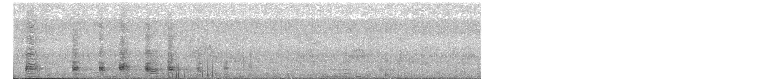 Молуккский ибис - ML609182240