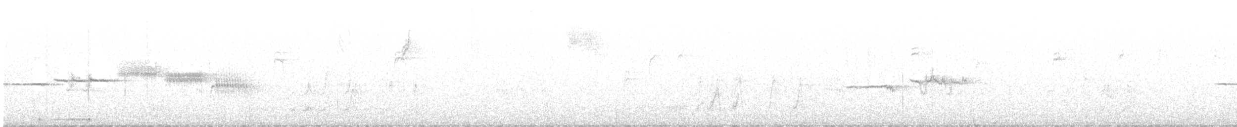 Bruant à couronne blanche (gambelii) - ML609192034