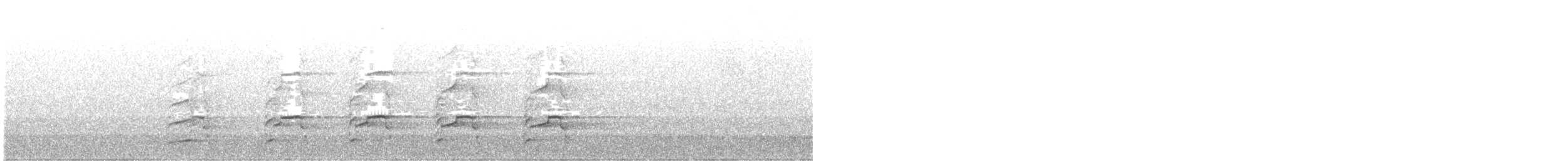 orel bělohlavý - ML609197961