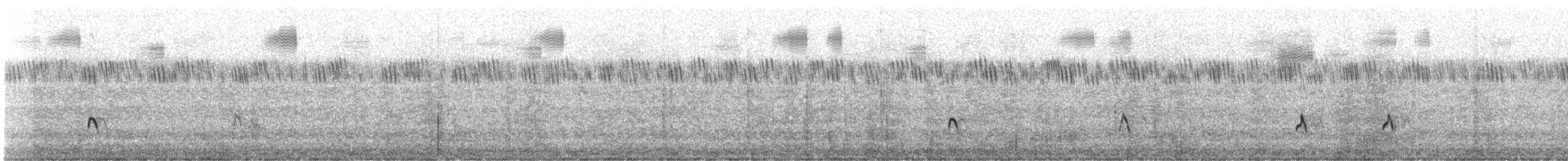 Blue-tailed Bee-eater - ML609199026
