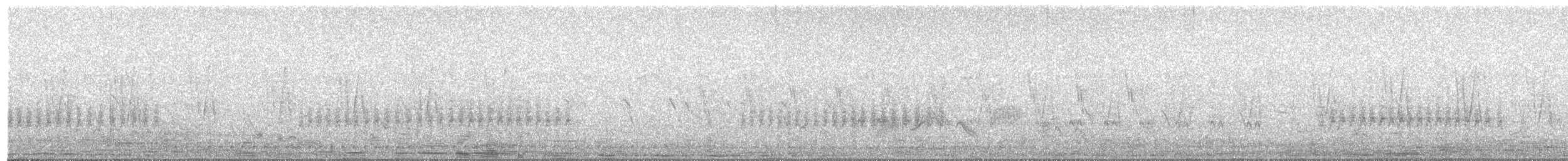 White-tailed Iora - ML609199447