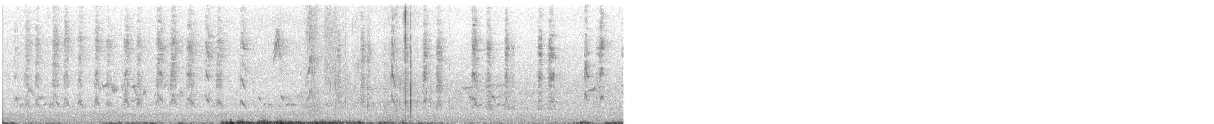 Méliphage de Nouvelle-Hollande - ML609200536