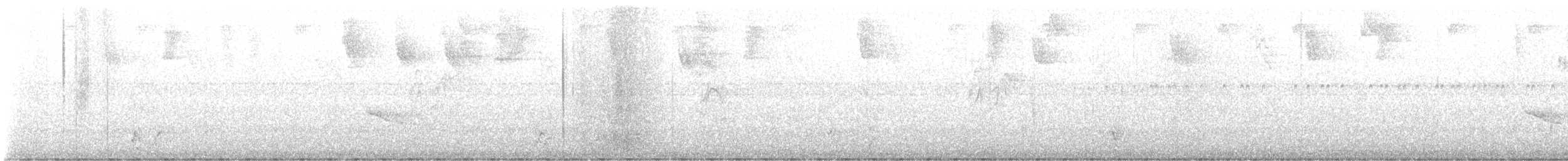 Breithauben-Stirnvogel [angustifrons-Gruppe] - ML609202053