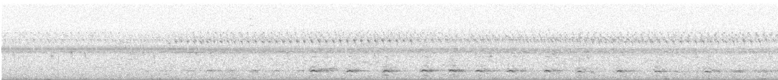 Fichtenkreuzschnabel - ML609207178