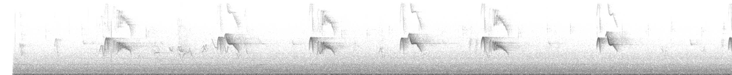 Black Phoebe (Northern) - ML609212504