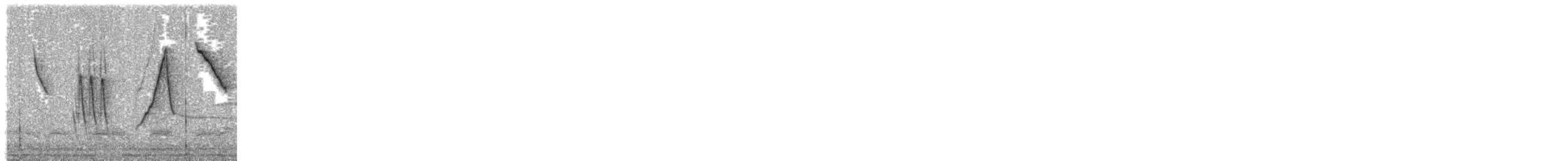 コバシマユシトド - ML609217500