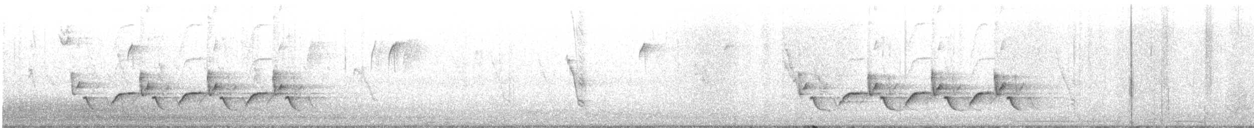 Каролинский крапивник - ML609218564