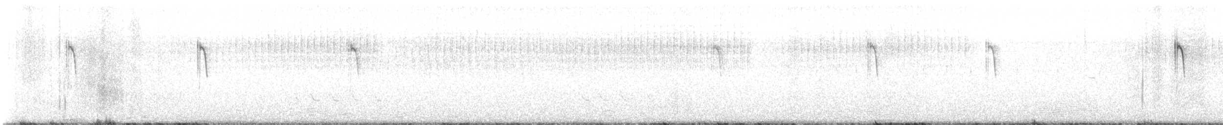 Cisticole des joncs - ML609219031