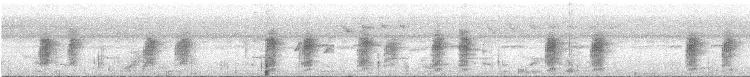 Australian Spectacled Monarch - ML609219394