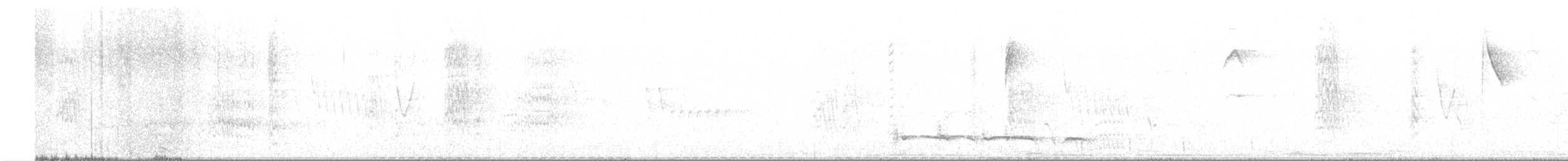 Лінивка-смугохвіст плямистобока - ML609222697