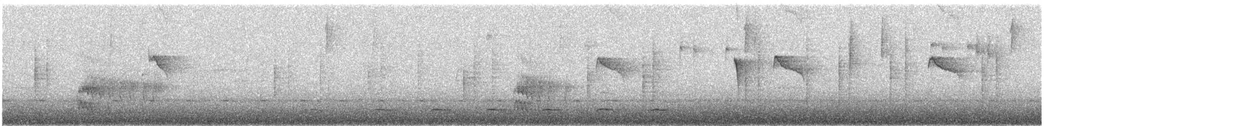 Weißstirn-Kleintyrann - ML609222942