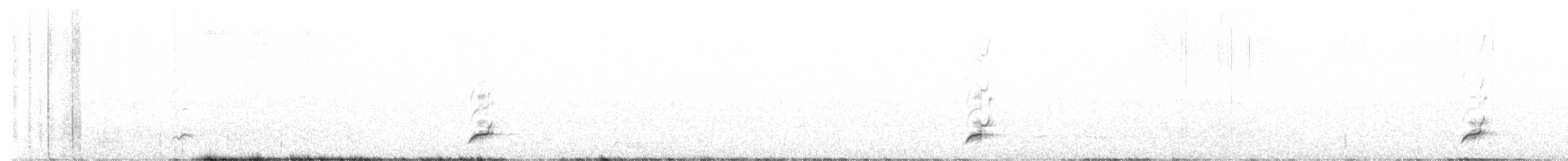 Tinamou élégant - ML609224824