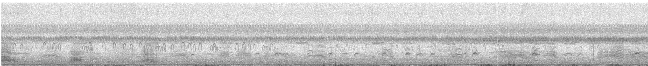 Hazar Sumrusu - ML609231496