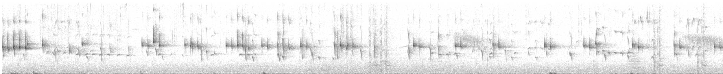 White-throated Treerunner - ML609232301