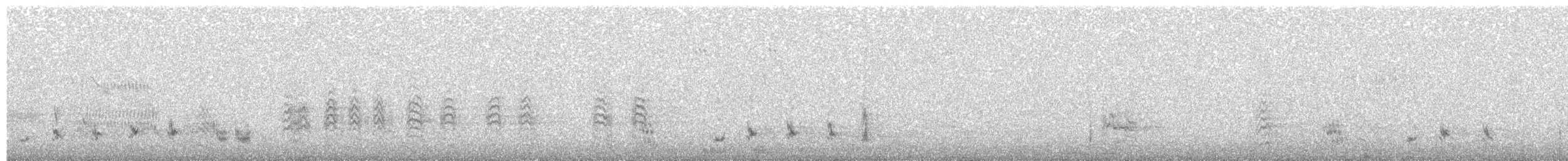 Güneyli Wagler Papağanı - ML609238206