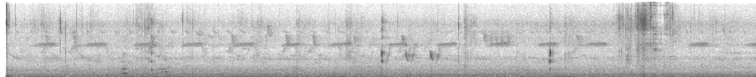 Teichhuhn - ML609241481