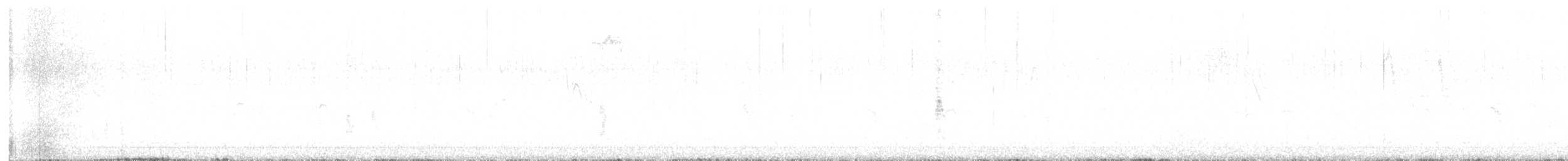Steller Kargası - ML609242118