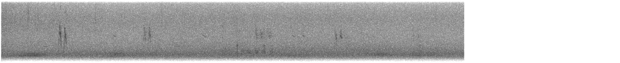 White Wagtail - ML609243278