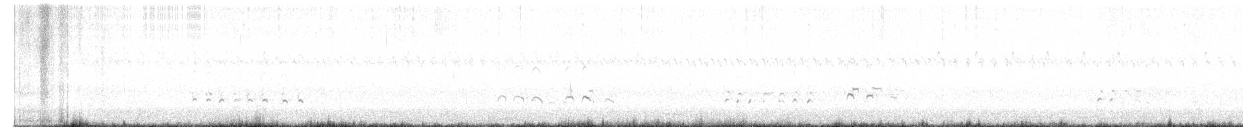 Regenbrachvogel (hudsonicus) - ML609246208